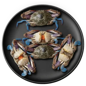 Marine Crabs